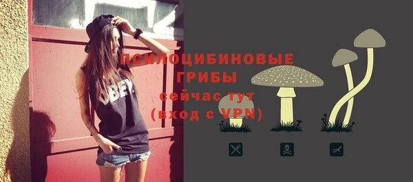 каннабис Беломорск