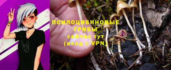 каннабис Беломорск